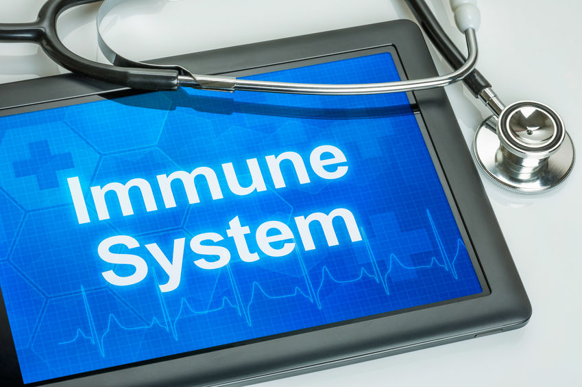 Moin Veränderung – Ernährungs-Coaching zum Abnehmen 6 Tablet with the text Immune system on the display