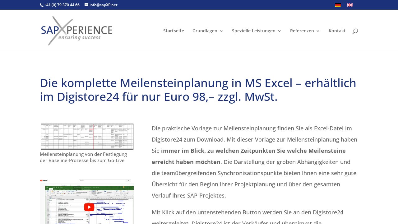 MS-Excel-Vorlage zur Meilensteinplanung – Ansicht der Verkaufsseite