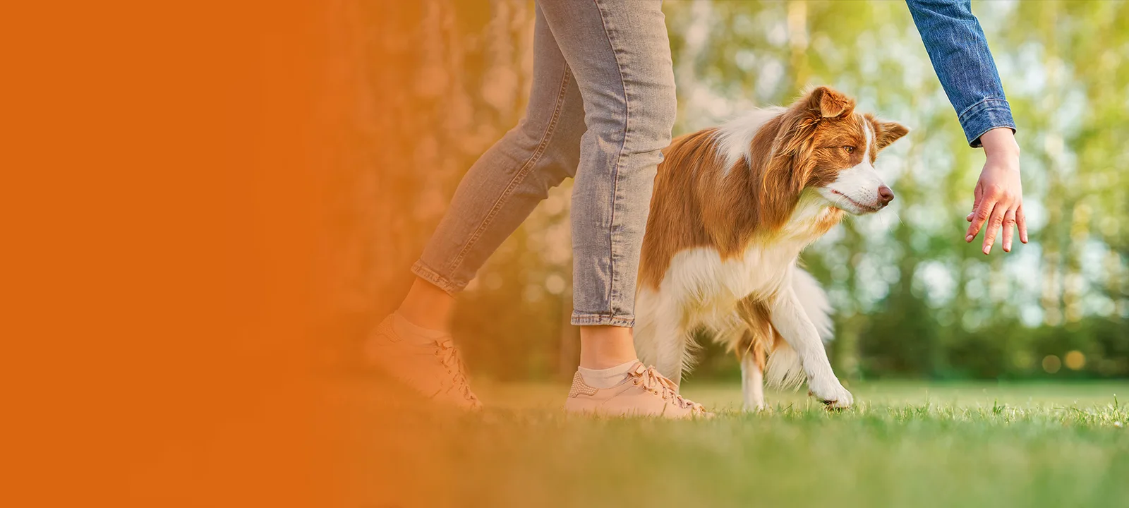 Zwei Frauen mit braun-weißem Hund zwischen ihnen auf Wiese