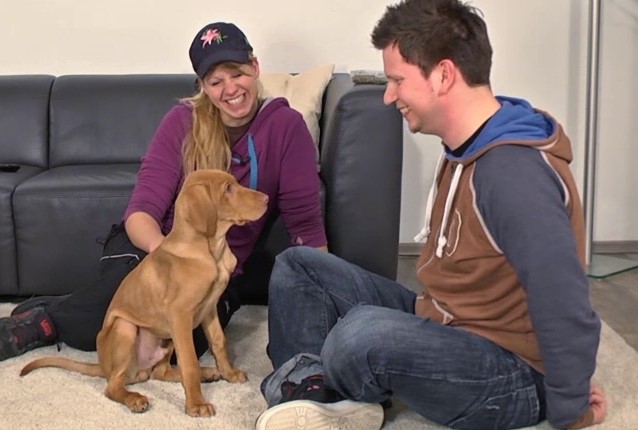 Mann und Frau auf Sofa mit braunem Hund zwischen ihnen, lachen zusammen