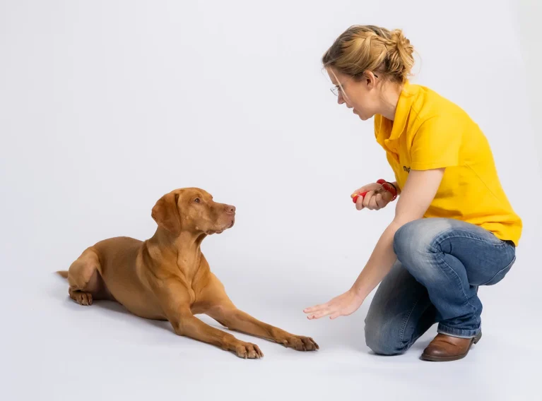 mydog365 – Online-Hundetrainingsplattform von Tina und Jörg