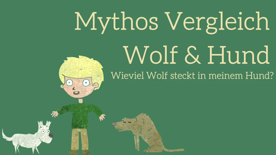 Hero-Banner zum Mythosvergleich Wolf und Hund mit illustriertem Kind, Wolf und Hund