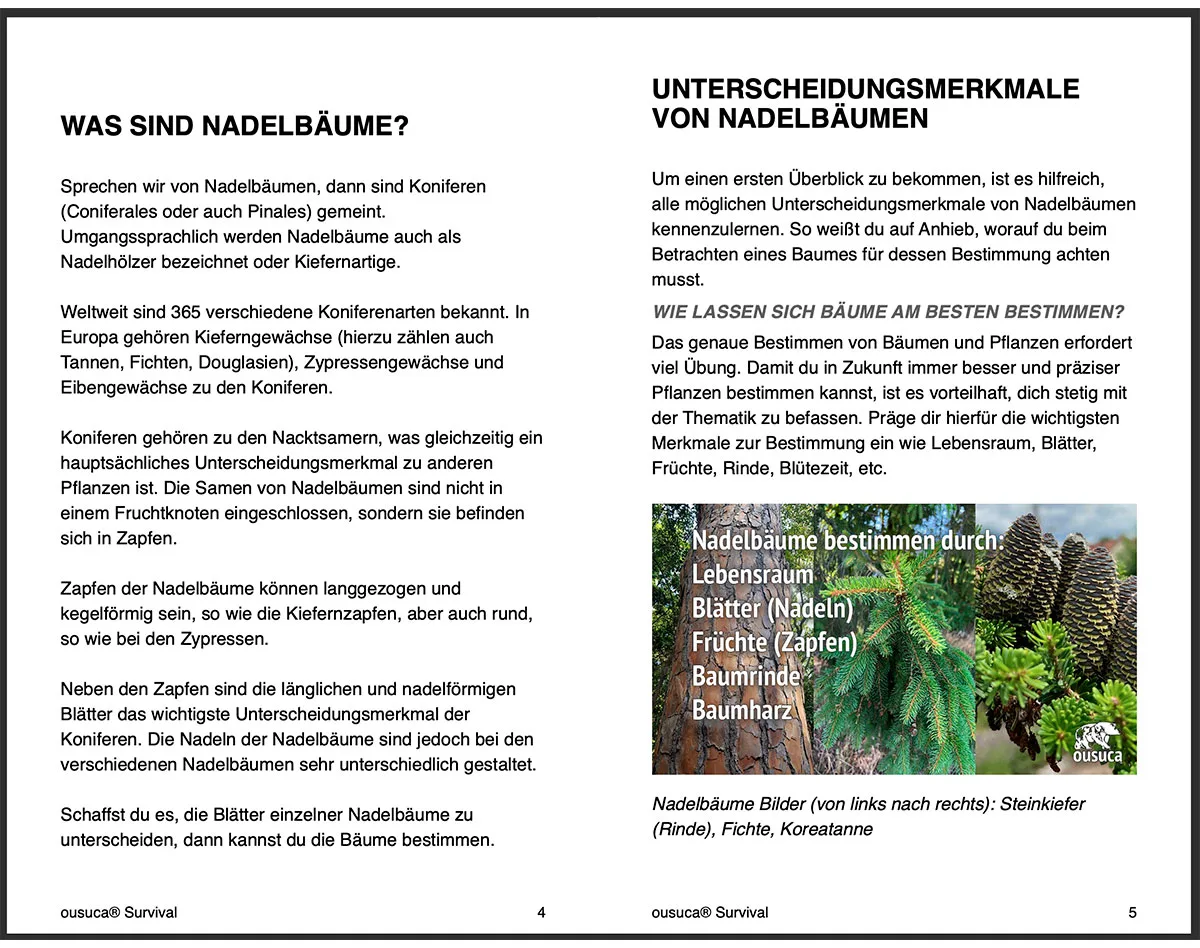 Nadelbäume bestimmen – Ratgeber mit Bildern von Mike Lippoldt 9 eBook-Leseprobe 1: Was sind Nadelbäume und Unterscheidungsmerkmale mit Bildern von Steinkiefer, Fichte, Koreatanne