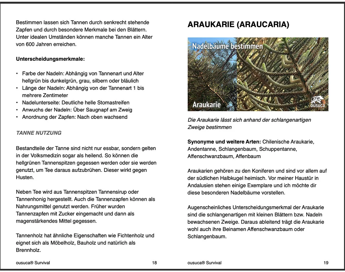 Nadelbäume bestimmen – Ratgeber mit Bildern von Mike Lippoldt 10 eBook-Leseprobe 2: Tannen bestimmen und Araukarie mit Erkennungsmerkmalen und Fotos