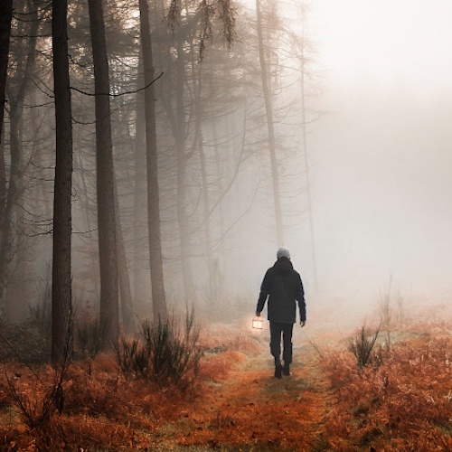Person in schwarzer Jacke spaziert durch nebligen Herbstwald mit braunem Laub