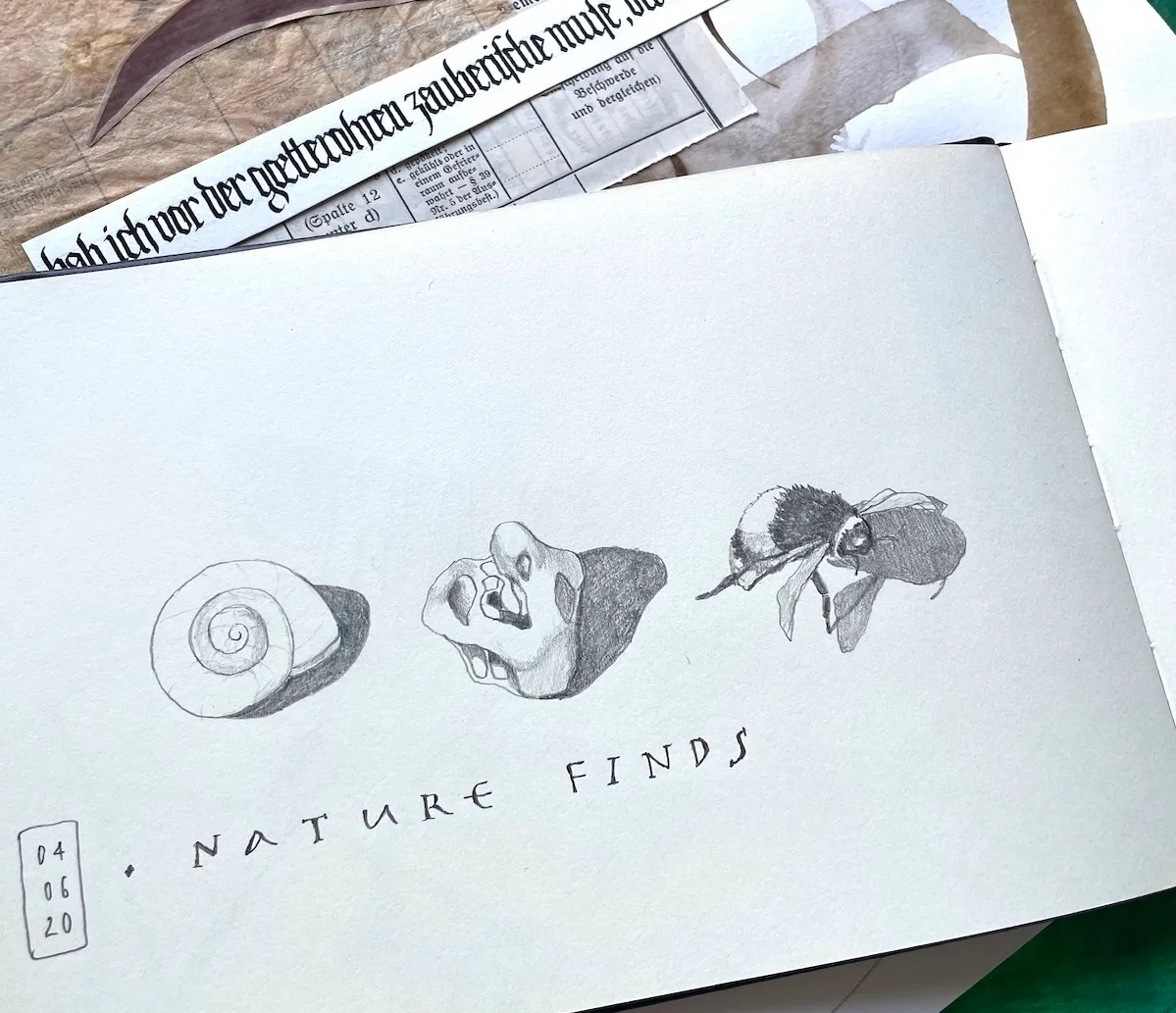 Handgezeichnete naturkundliche Illustrationen von Schneckenhäusern und Insekten auf Papier mit Notizen
