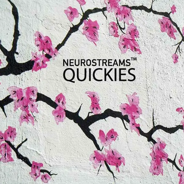 Neurostreams Quickies Cover mit rosa Kirschblüten auf weißem Untergrund