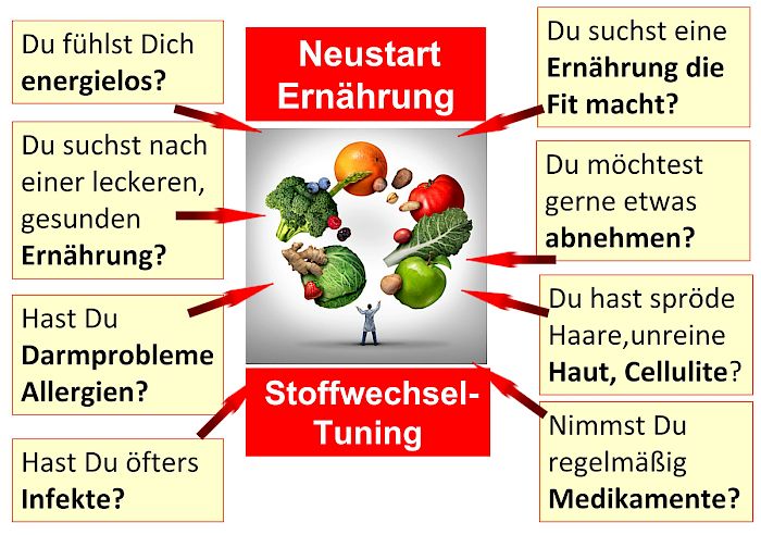 Neustart Ernährung – Basisch-Kochen-Kurs von Ralf Moll 6 Responsive Infografik Neustart Ernährung mit Fragen zu Stoffwechsel-Tuning