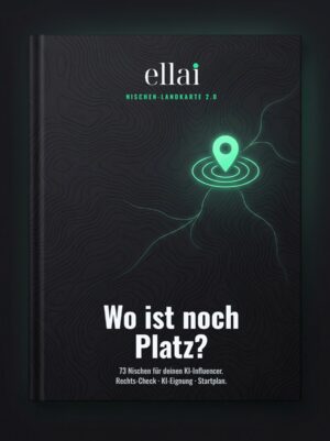 Nischen-Landkarte 2.0 E-Book Cover mit 3D-Boxmotiv, grünem Standort-Pin und topografischem Muster