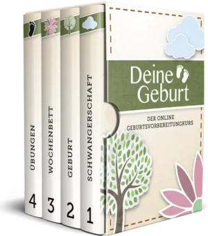 Produktbox des Online Geburtsvorbereitungskurs Deine Geburt mit vier Modulen und Illustrationen