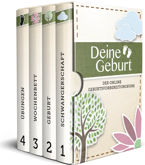 Produktbox des Online Geburtsvorbereitungskurs Deine Geburt mit vier Modulen und Illustrationen