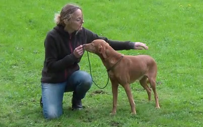 Trainerin mit braunem Hund, Fußposition trainieren