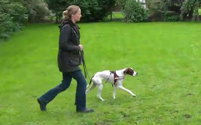 Frau mit Hund an der Leine beim Laufen über Wiese