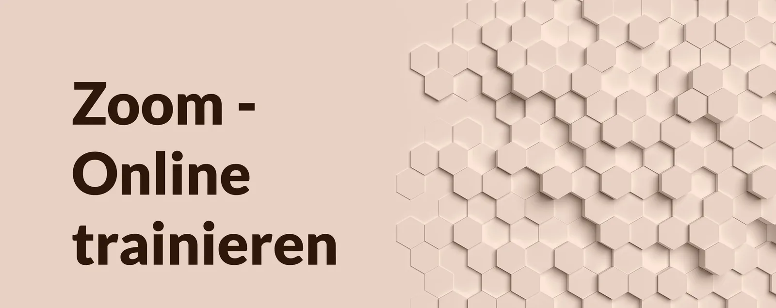 Online Schulungen mit Zoom durchführen 2 Kurscover Online Schulungen mit Zoom durchführen, Video-Kurs von Trainstitute
