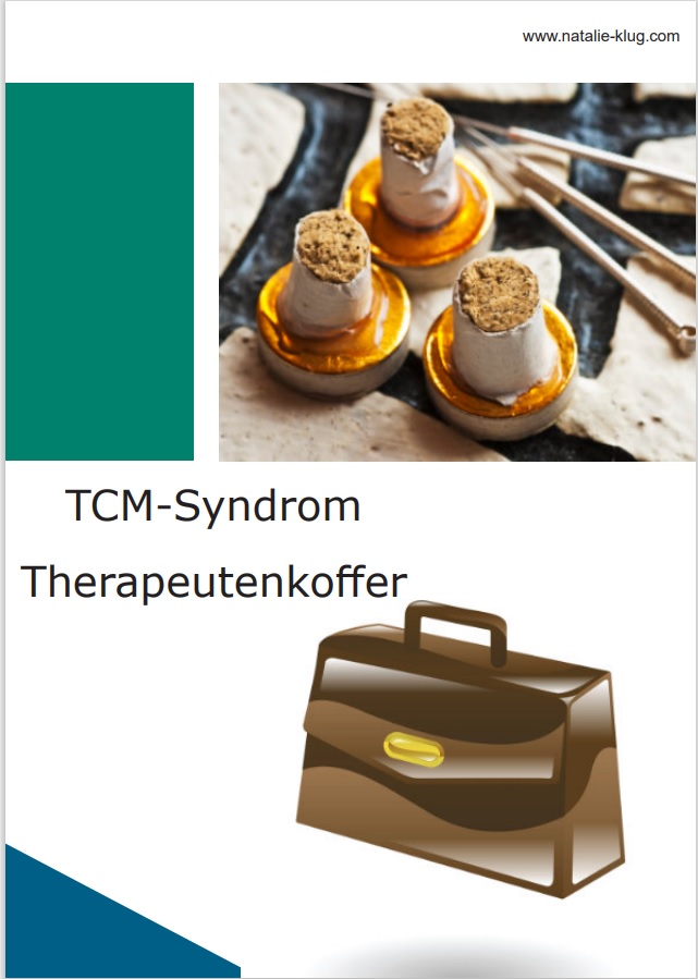 TCM-Syndrom Therapeutenkoffer Hero-Banner mit Moxibustion-Köpfen auf goldenem Untergrund