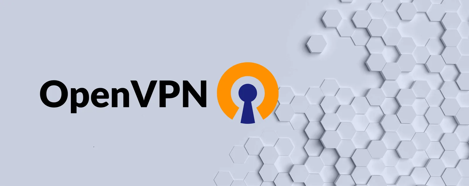 OpenVPN – Virtuelle Private Netzwerke 2 OpenVPN-Logo mit orangem Kreis und blauem Schlüsselsymbol auf hexagonalem Hintergrund