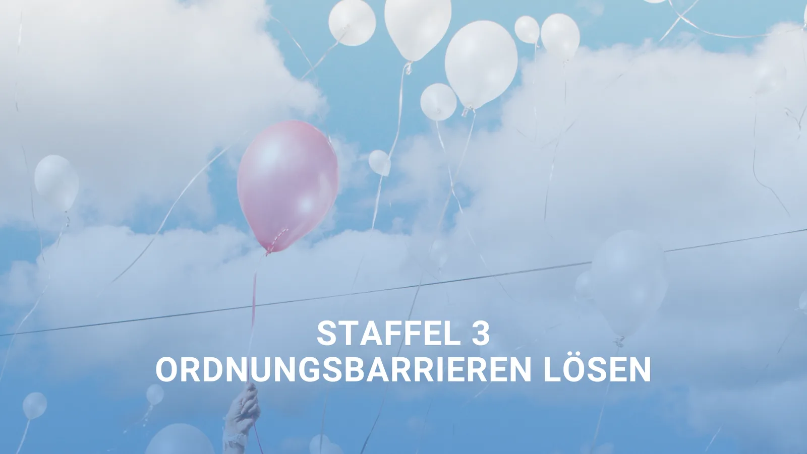 OrdnungsMagie Kurs Modul 3 Banner mit Ballons am Himmel und rosa Ballon im Fokus