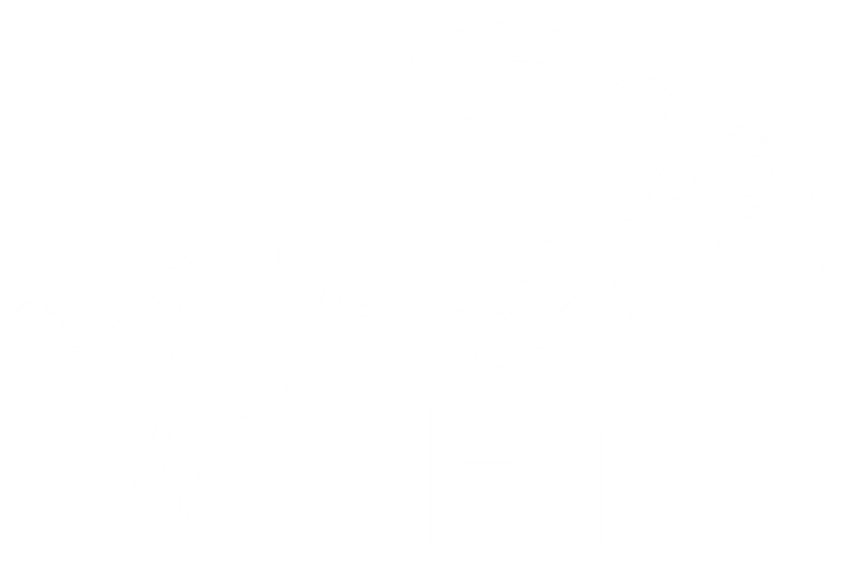 OTP Premium Mitgliedschaft – Trading-Kurs mit Journalvorlage