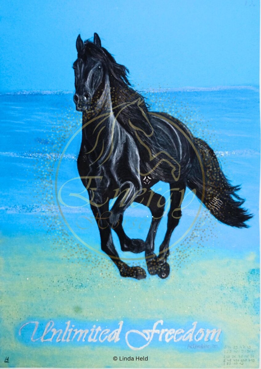 Unlimited Freedom Energy Horse PDF, schwarzes Pferd vor blauem Meer und Himmel