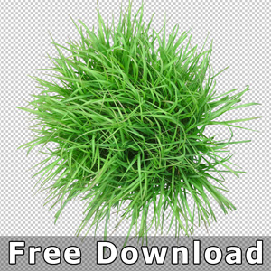 grass-plan-view-png-free-download-photoshop
