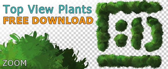 plant top view png