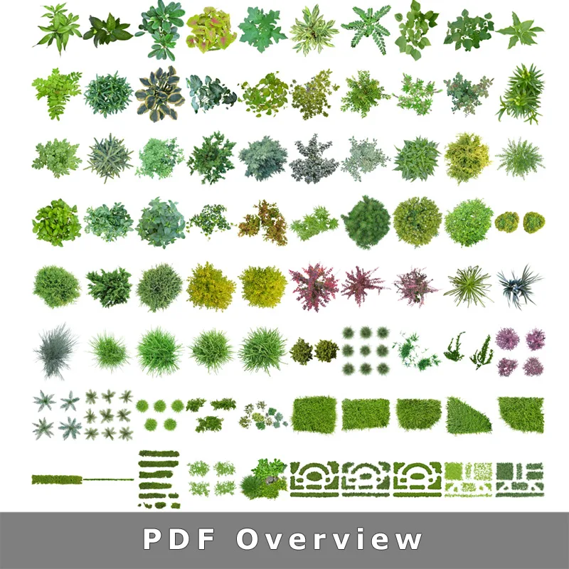 Übersichtssammlung von über 50 verschiedenen Pflanzen- und Grassrendern in Draufsicht ohne Hintergrund für Gartenplanung