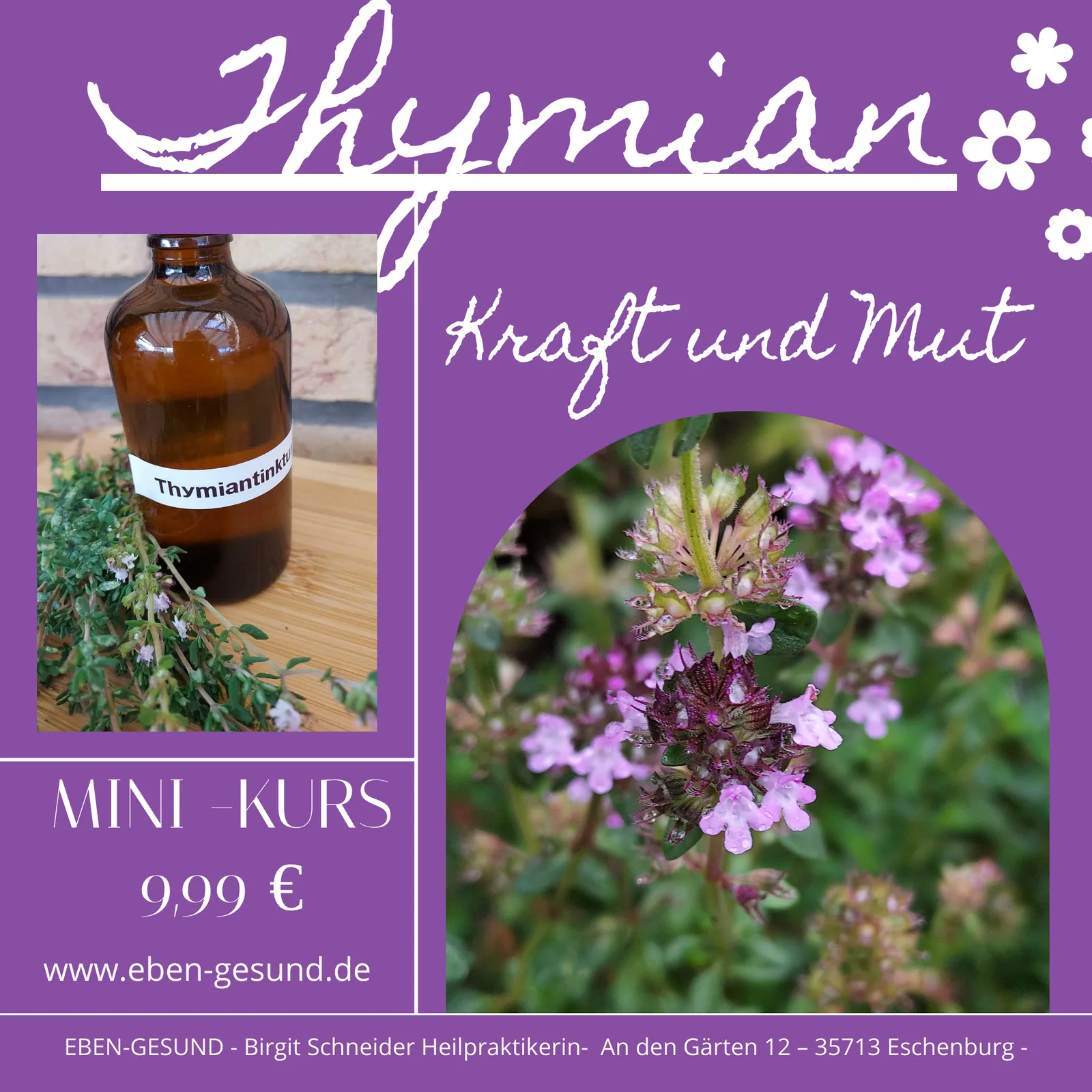 Pflanzeninhaltsstoffe / Wirkstoffe von Birgit Schneider 9 Thymian-Tinktur in brauner Glasflasche und Thymian-Blüten, lila Designhintergrund