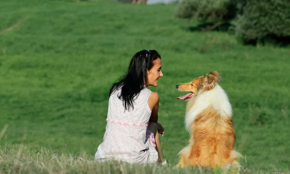 Frau sitzt mit Collie-Hund auf grüner Wiese in vertrauensvoller Interaktion