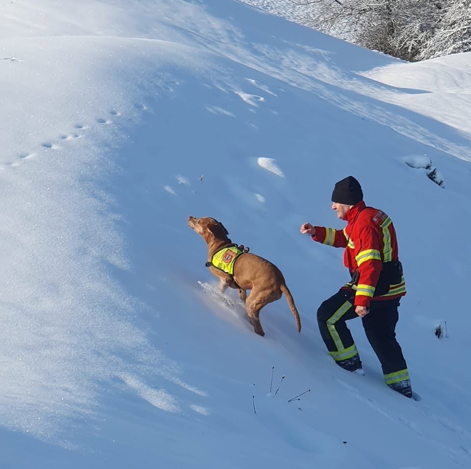 Rettungskraft mit Hund im Schnee trainierend, Teamarbeit in Winterlandschaft