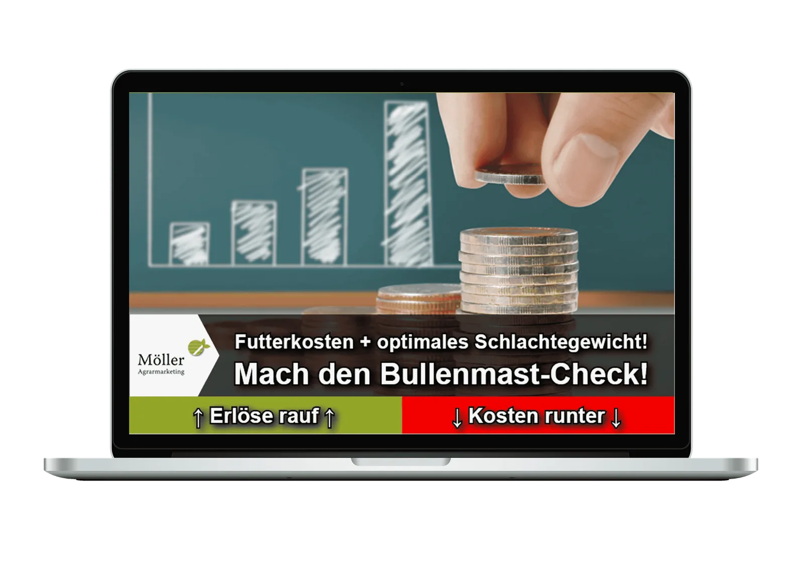 Bullenmast-Check Analysedashboard für Rindermast-Betriebswirtschaft