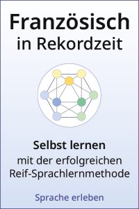 Französisch in Rekordzeit Selbstlernkurs mit geometrischem Netzwerk-Logo
