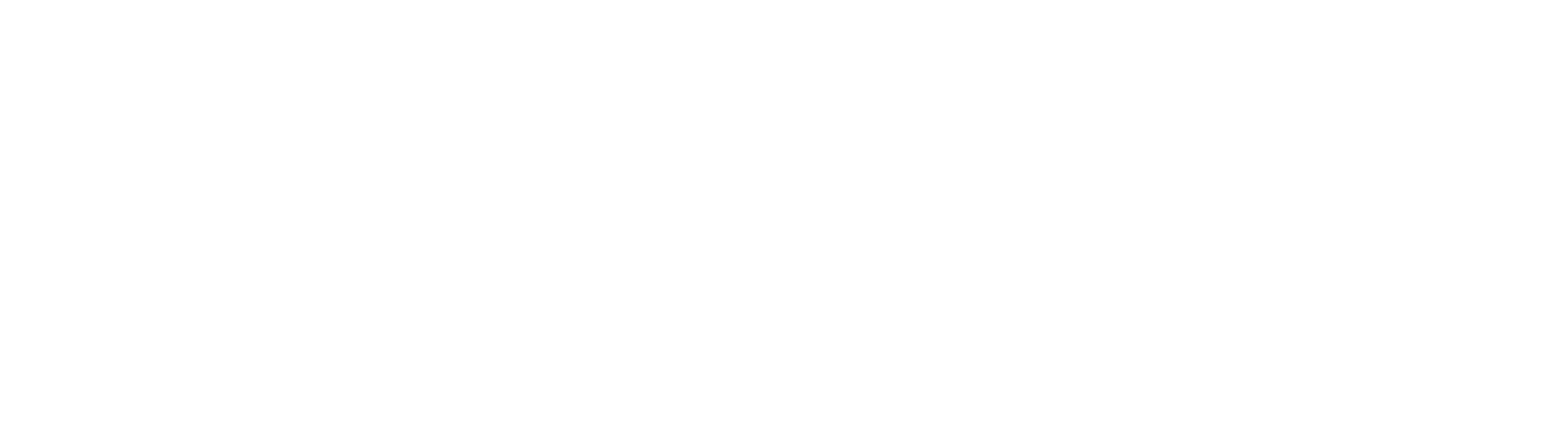 Galerie-Banner mit vier Modulen des Kurses Psychologie für Reiter