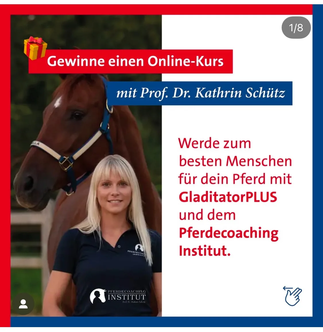 Gewinnspiel-Banner: Online-Kurs mit Prof. Dr. Kathrin Schütz, GladitorPLUS und Pferdecoaching Institut