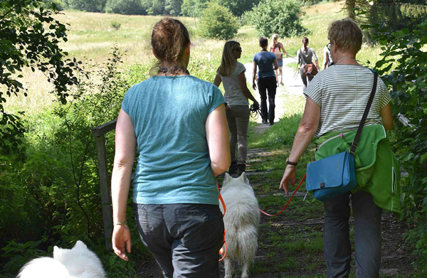 Gruppe von Personen mit Hunden auf Waldweg während Seminar