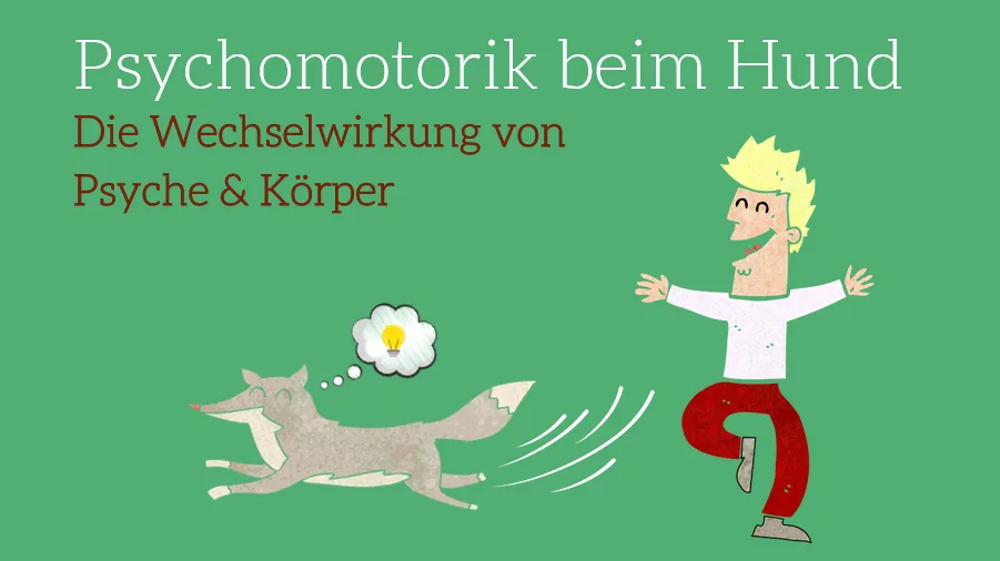 Hero-Grafik zum Videokurs Psychomotorik beim Hund mit Illustration von Mensch und Hund