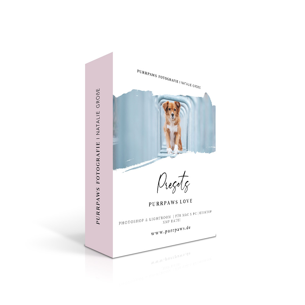 Produktbox Purrpaws Love Preset mit Hundefoto in blauem minimalistischem Setting