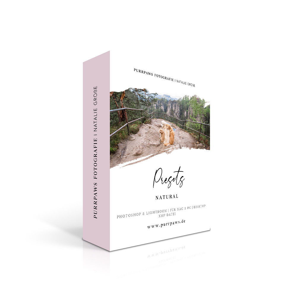 Produktbox Natural Preset mit Hund in Berglandschaft auf Aussichtsplattform