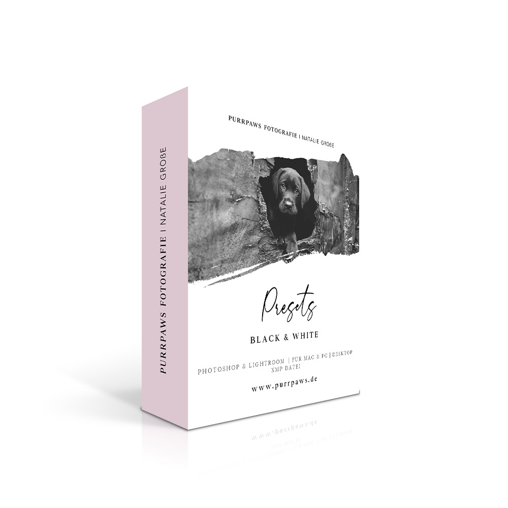 Produktbox Black & White Preset mit schwarzem Hund in Feldlandschaft