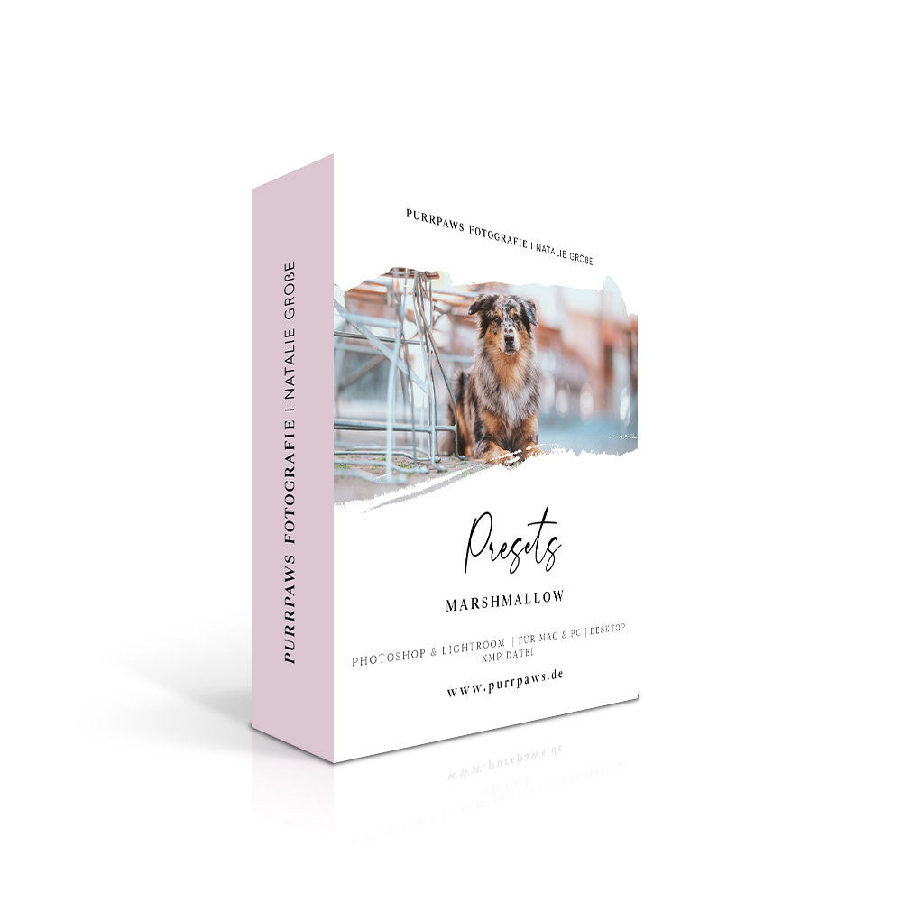 Produktbox Marshmallow Preset mit Hund vor industrieller Backsteinmauer