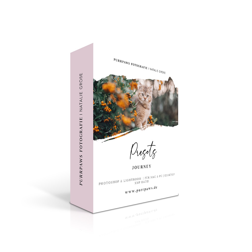 Produktbox Journey Preset mit Katze zwischen orangenen Wildblumen