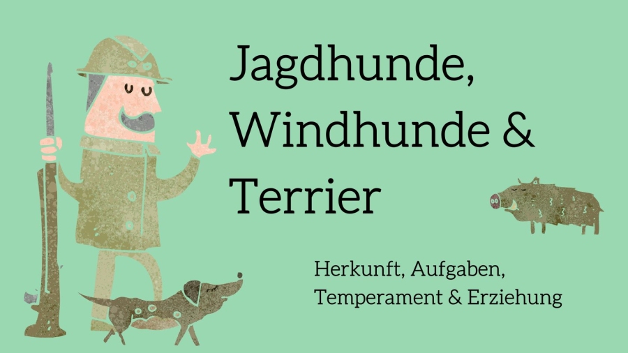 Grafik-Banner: Jäger mit Jagdhund und Wildschwein auf mintgrünem Hintergrund