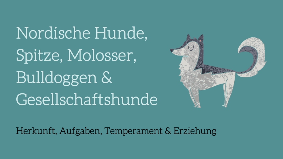 Grafik-Banner: Stilisierte nordische Hunde und Molosser auf Teal-Hintergrund