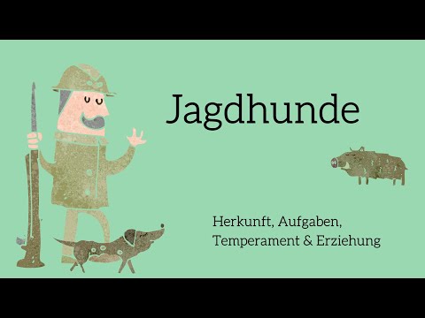 Animierte Grafik: Jäger mit Jagdhund und Wildschwein auf mintgrünem Hintergrund