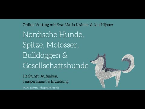Titelfolie: Nordische Hunde, Spitze, Molosser, Bulldoggen & Gesellschaftshunde auf Teal-Hintergrund mit Hund
