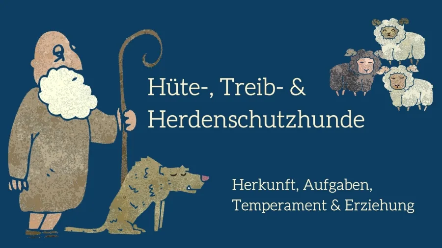 Grafik-Banner: Hirte mit Schafherde und Hüte-Hund auf dunkelbauem Hintergrund