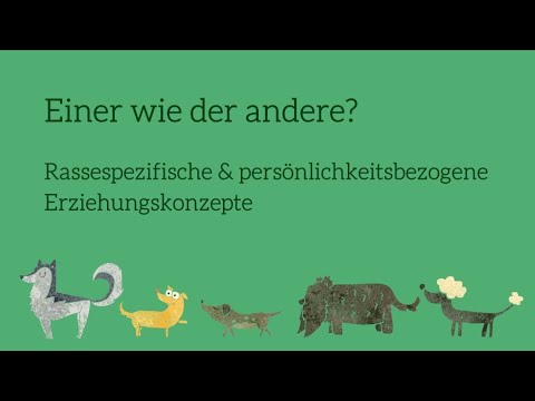 Videostandbild des Seminar-Intros mit animierten Tieren und Play-Symbol