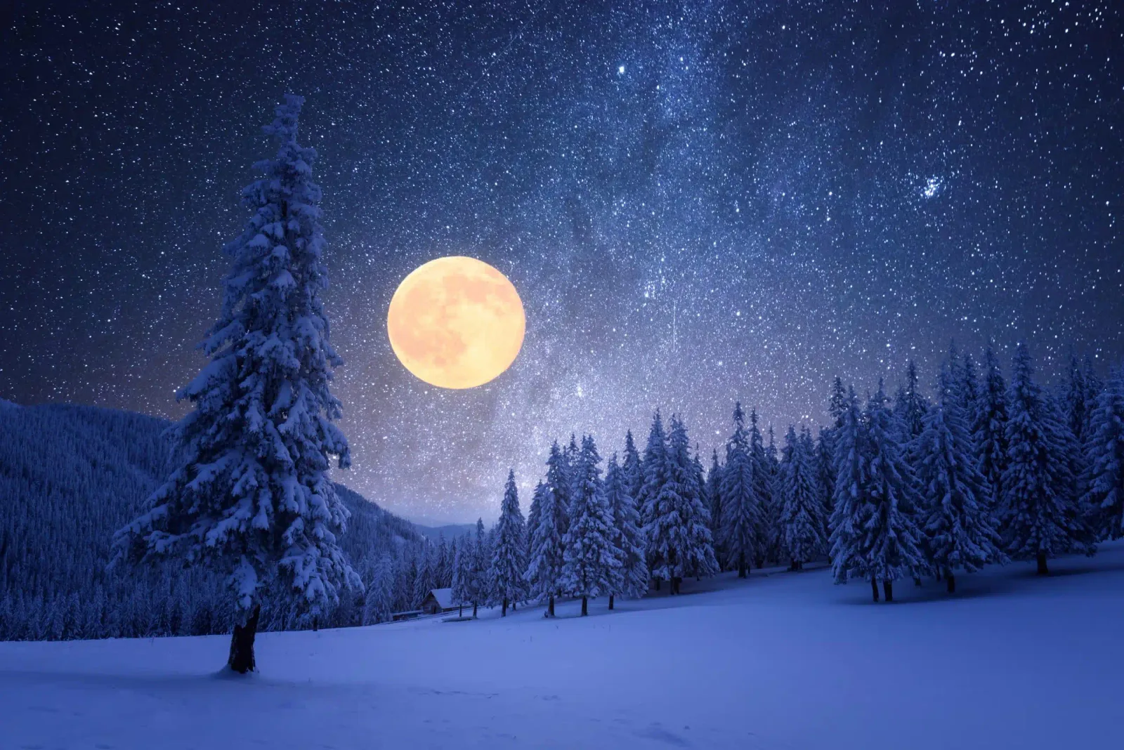 Winterlandschaft mit schneebedeckten Fichten unter Vollmond und Sternenhimmel