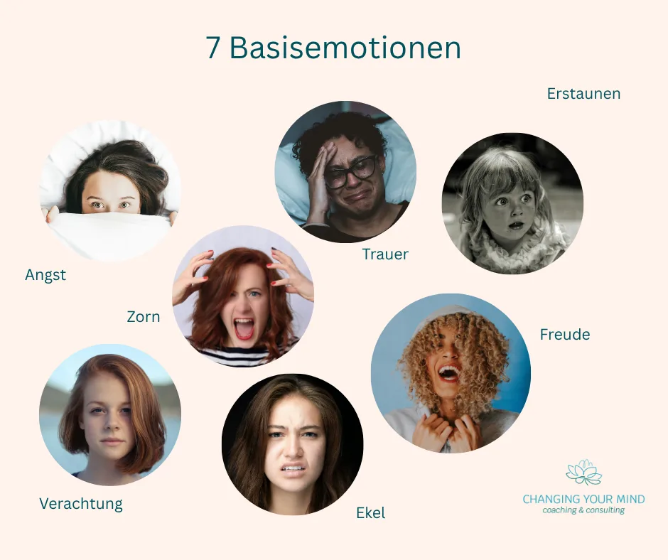 Banner der Webseite mit den 7 Basisemotionen Angst, Zorn, Trauer, Erstaunen, Freude, Ekel und Verachtung, dargestellt durch P