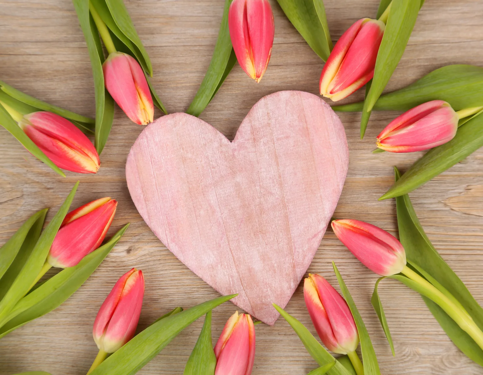 Rosa Holzherz umgeben von rot-gelben Tulpen auf Holzuntergrund