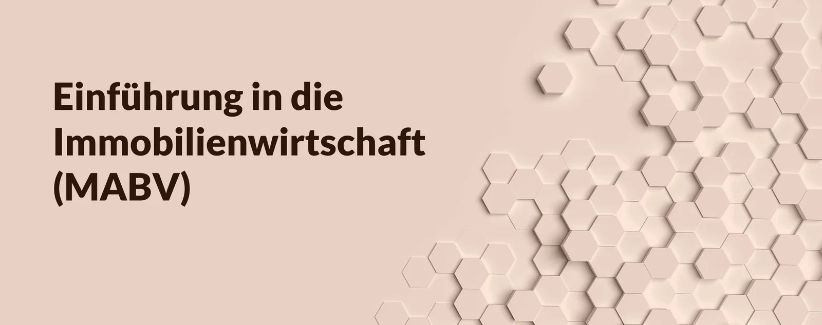Banner Einführung in die Immobilienwirtschaft MABV 01 mit beigem Hexagon-Muster